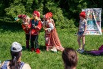 Без названия